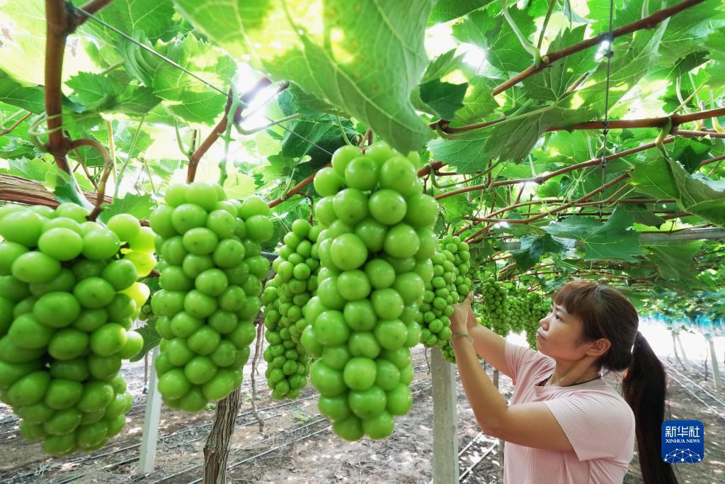 二维码